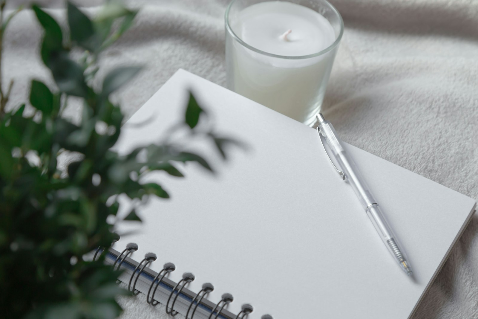 Notebook and eucalyptus branches on a calm workspace