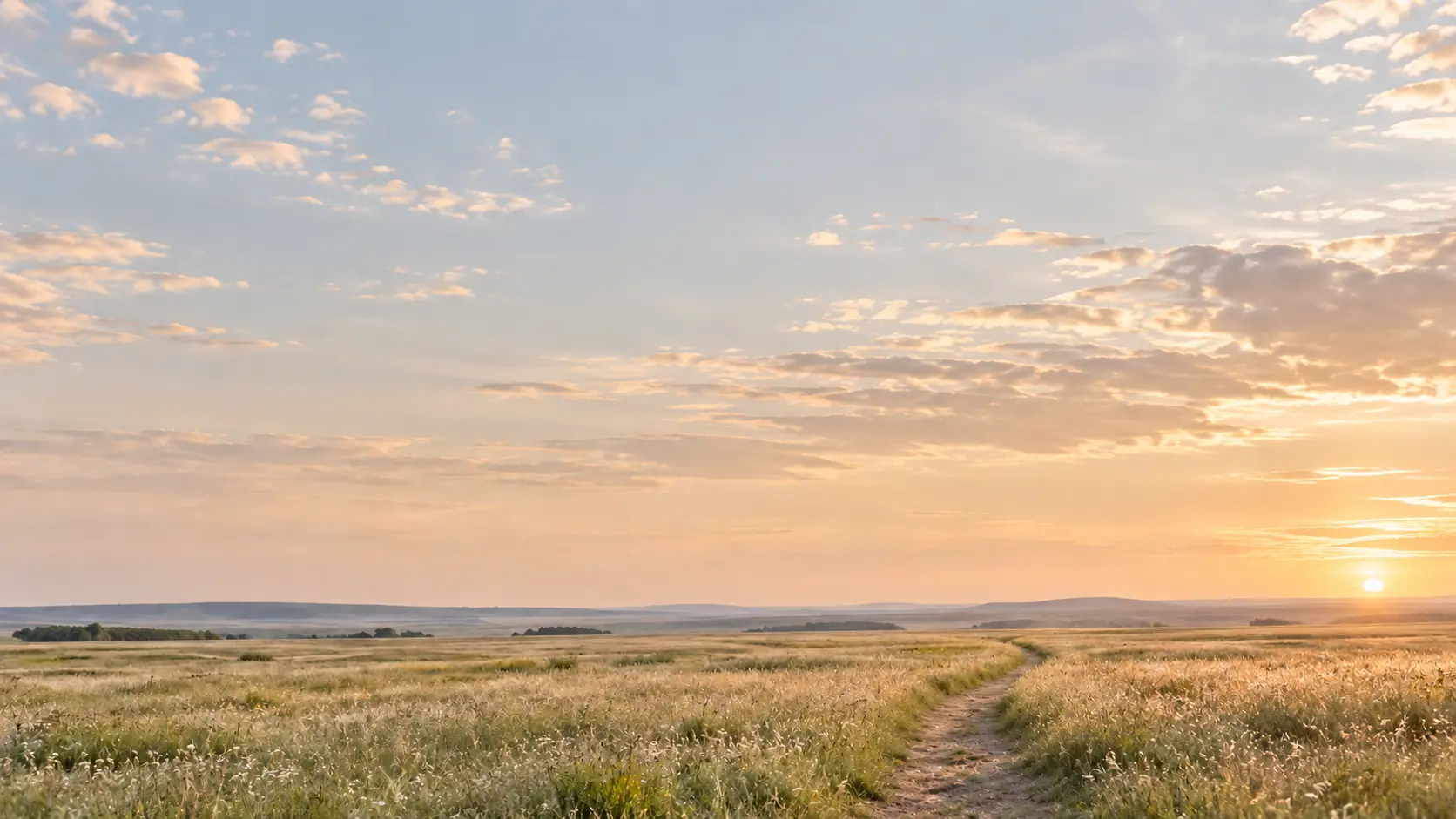 Natural path through a sunlit meadow at sunrise